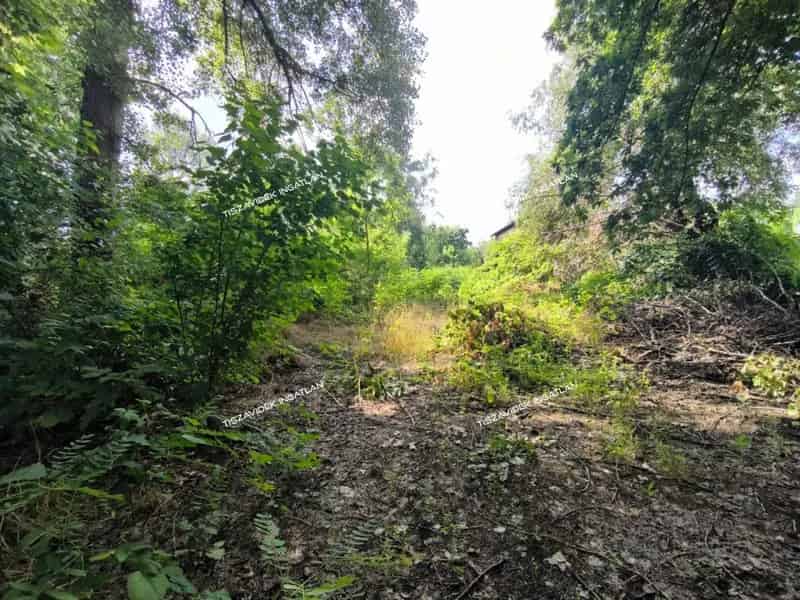 Telek Kiadó , Szolnoki járás, Alföld és Észak