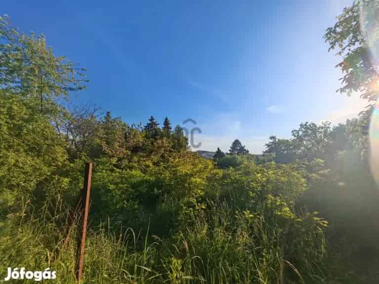 Esztergomban  lakóövezeti telek várja Önt! - Esztergom, Telek, föld - Jófogás Ingatlan