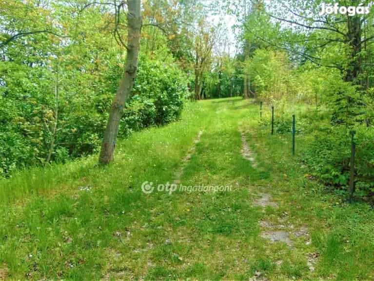 Eladó Telek, Zalaegerszeg - Zalaegerszeg, Telek, föld - Jófogás Ingatlan