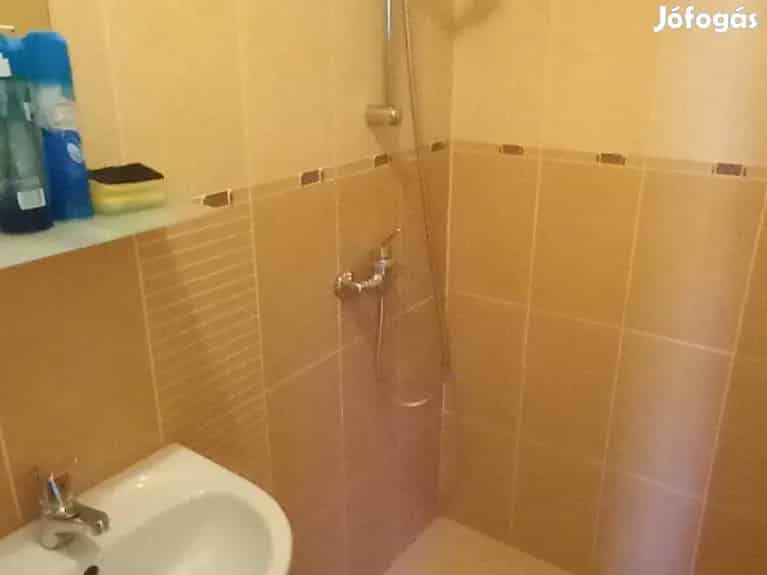 Harkány Erkel Ferenc téri földszinti apartman eladó - Harkány, Nyaralók, üdülők - Jófogás Ingatlan