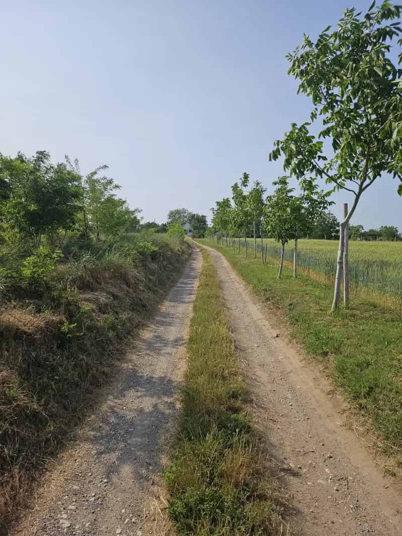 Telek Kiadó , Kőszárhegy, Dunántúl