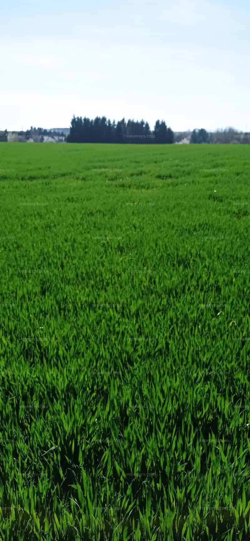 Egyedi fekvésű telek, különleges panorámával eladó