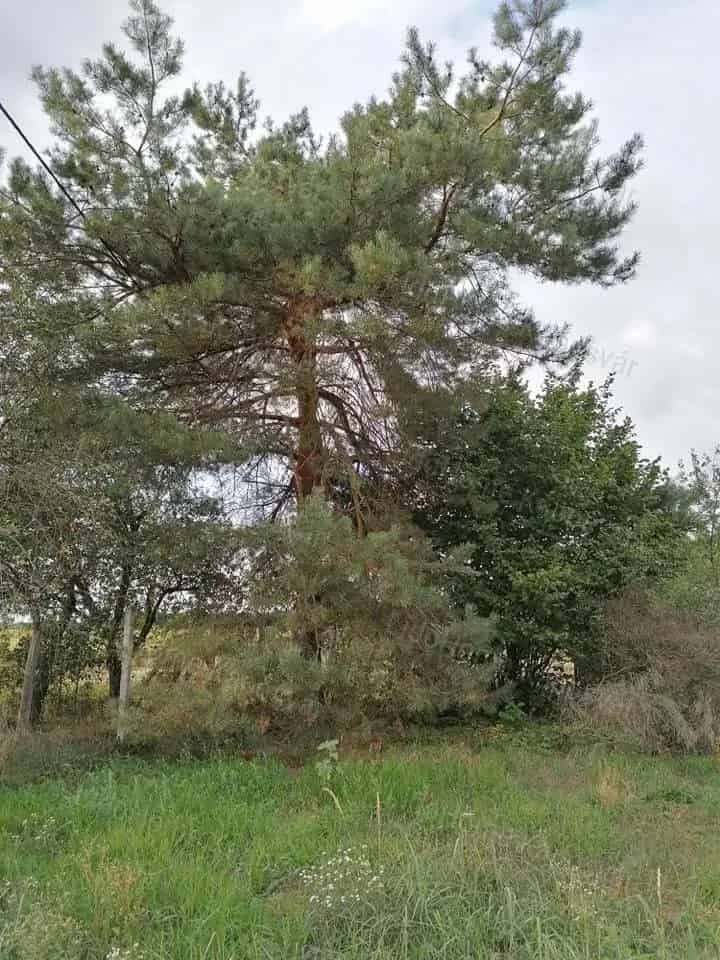 Telek Kiadó , Kaposvári járás, Dunántúl