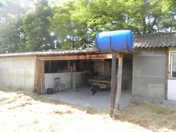 Mohácsi eladó mezőgazdasagi ingatlan, M0002871