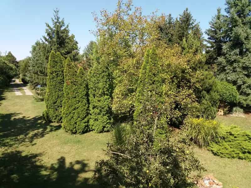 Telek Kiadó , Nyíregyháza, Alföld és Észak
