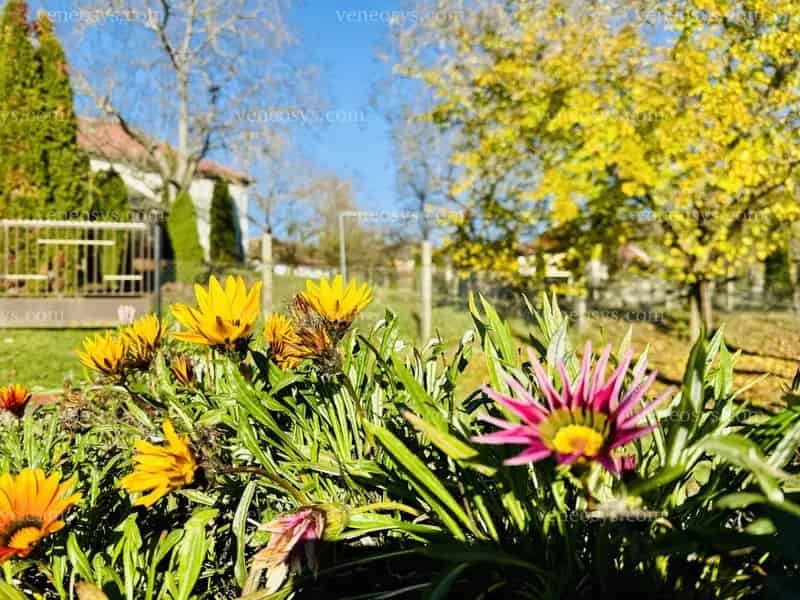 Várja Önt egy különleges lehetőség a festői Vilyvitányban! / A unique opportunity awaits you in the picturesque Vilyvitány! / Čaká na vás jedinečná príležitosť v malebnej obci Vilyvitány!