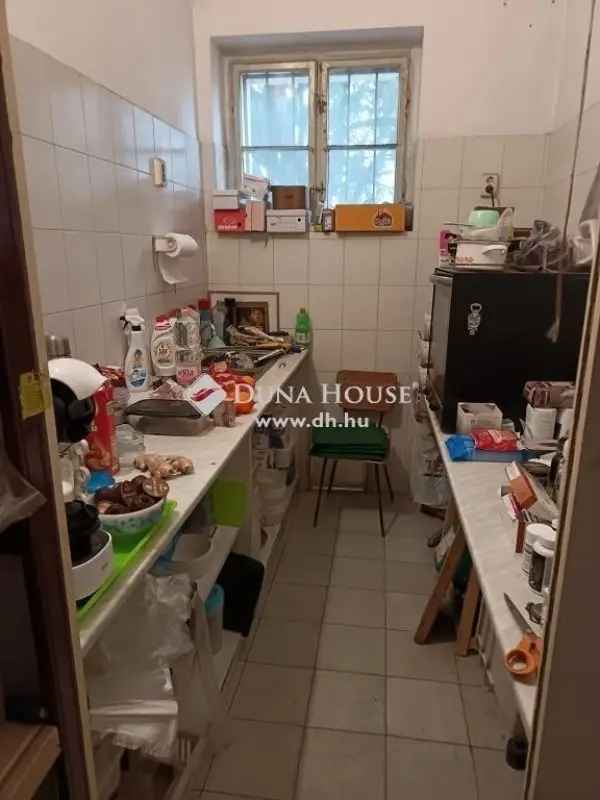 Üzleti célú Kiadó , Szegedi járás, Alföld és Észak