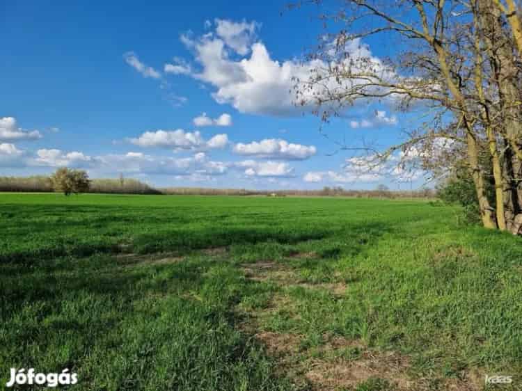 Tanya 22h föld Ópusztaszeren