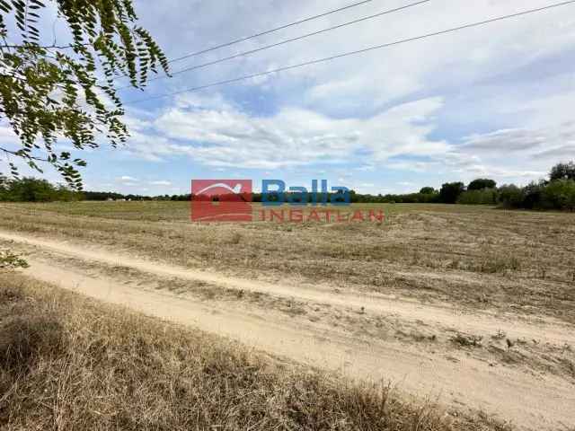 64000 m2-es Telek Eladó Felsőlajoson