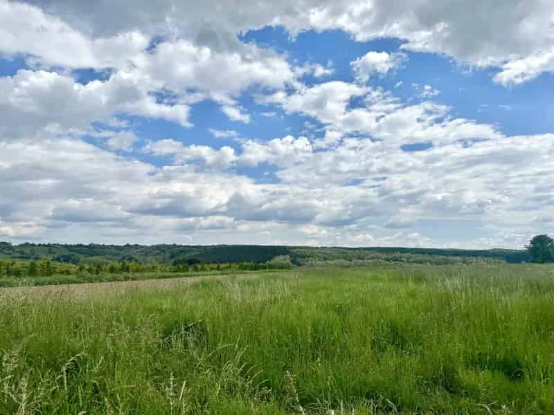 9200 m2-es Telek Olaszfán - Gyönyörű Kilátással