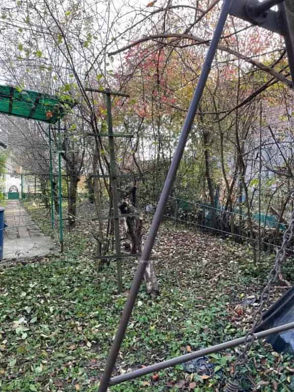Ház Kiadó , Gyulai járás, Alföld és Észak