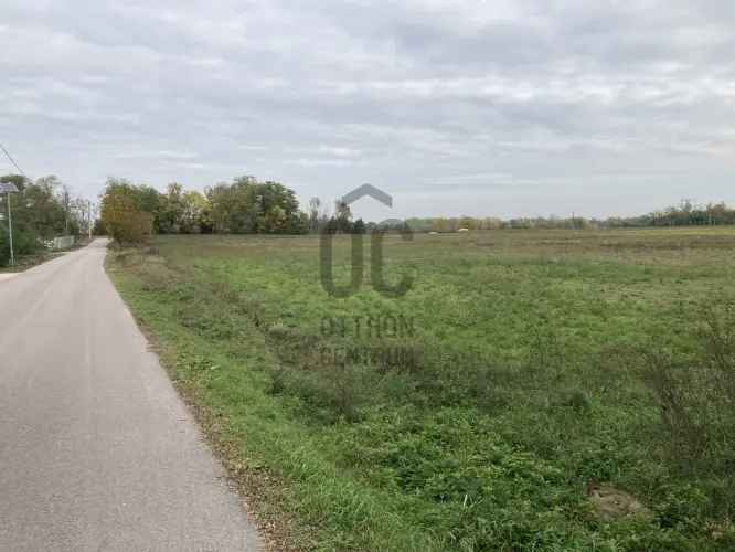 Kecskeméti eladó mezőgazdasági ingatlan 29000 m2
