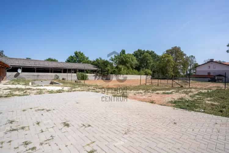 Nemesvitai eladó kereskedelmi ingatlan, UZ014856
