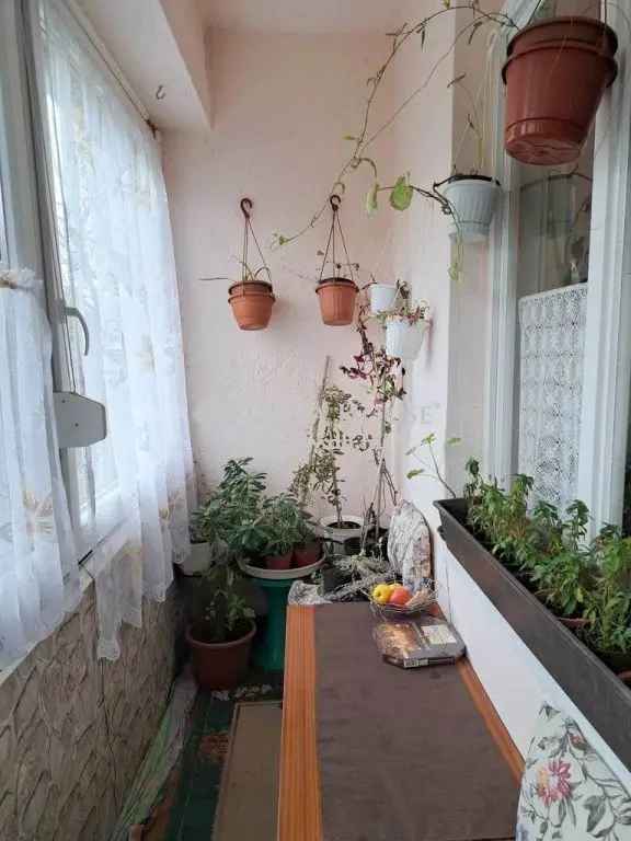 Ház Eladó , Tiszabercel, Alföld és Észak