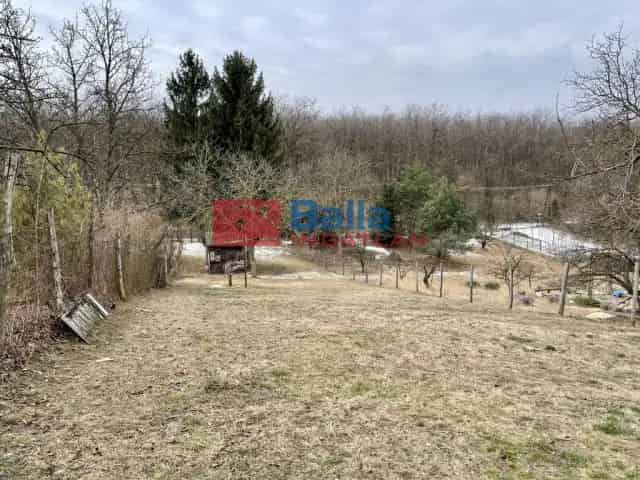 Mogyoród Telek Eladó 1021 m² Zöldövezeti