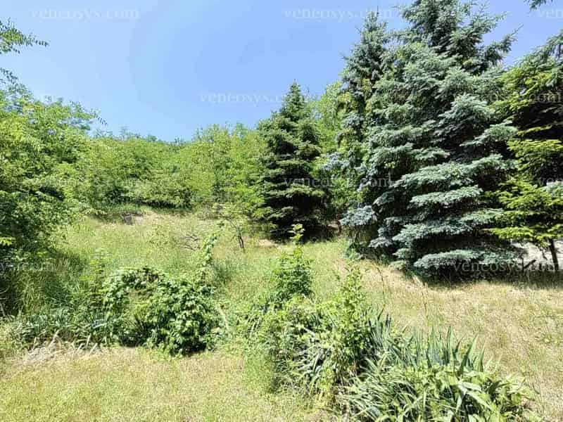 ELADÓ Sajókazán egy 4979 m² zártkerti ingatlan, telephely lakható 24 m² házzal!