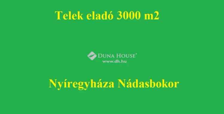 Telek Eladó , Nyíregyháza, Alföld és Észak