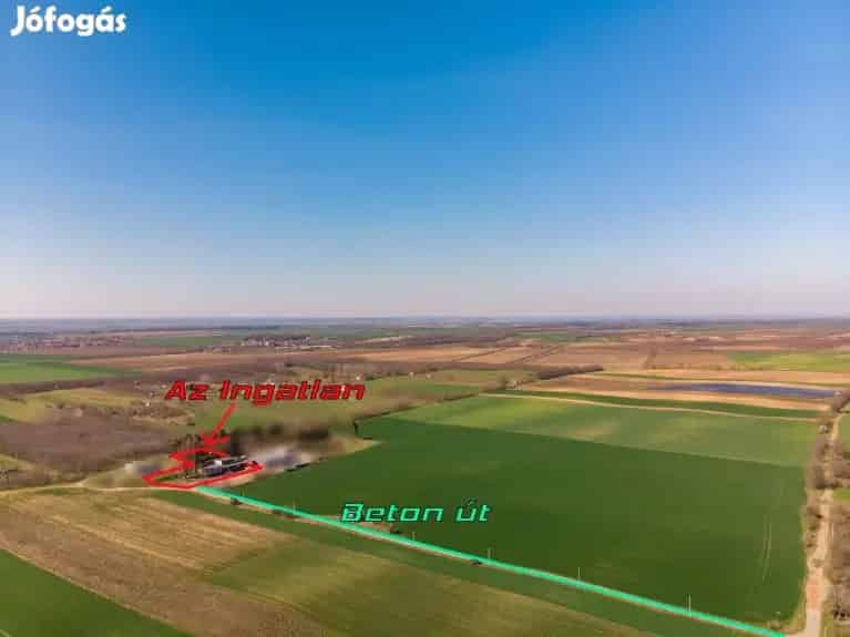 Tolna Ipari Telek Eladó 3512 m2 255 m2 Pince