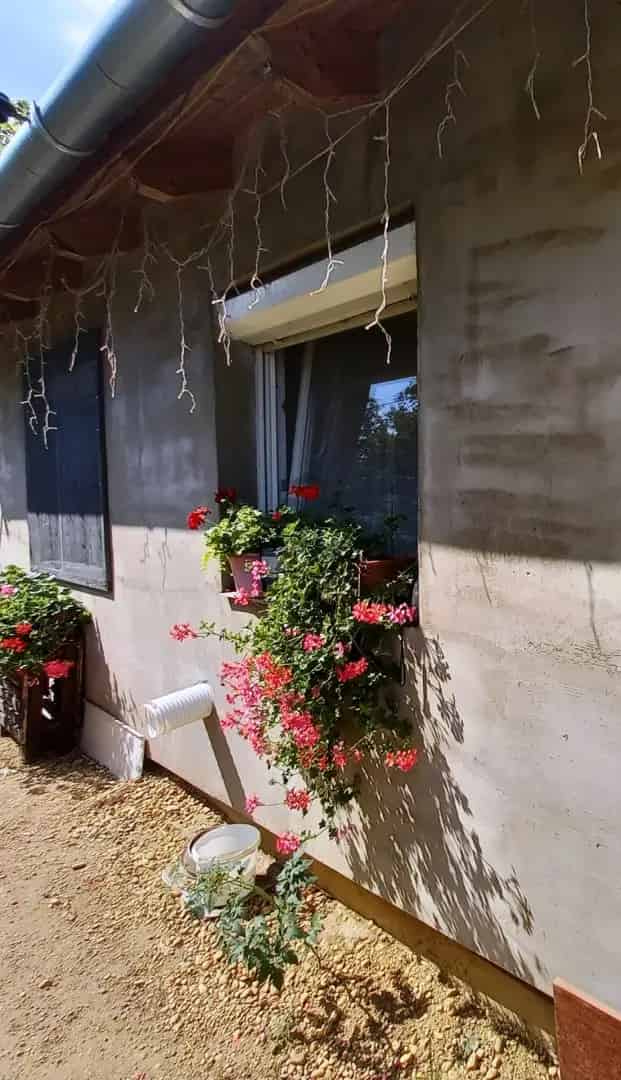Ház Kiadó , Szentendrei járás, Közép-Magyarország