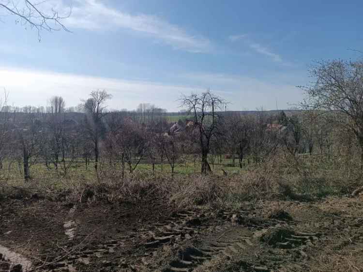 Telek Kiadó , 11, Vörösteleki utca, Ajka, Dunántúl