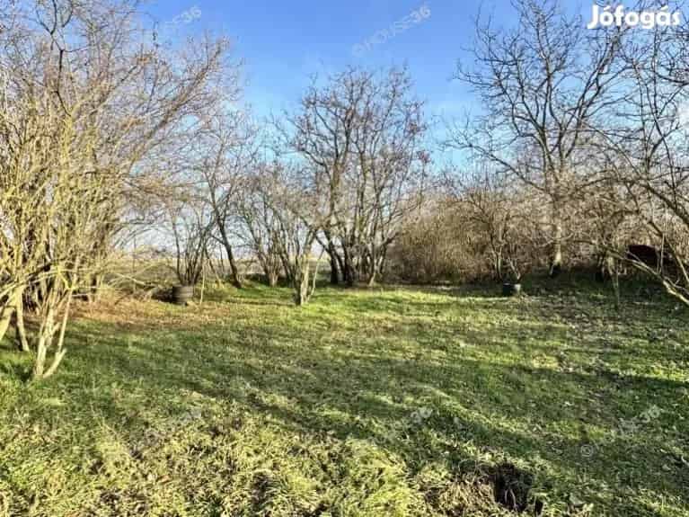 Kecskemét-Talfáján tanya eladó! - Kecskemét, Tanya - Jófogás Ingatlan