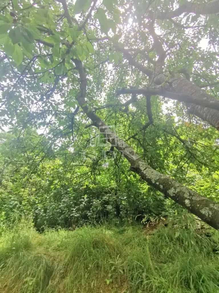 Telek Kiadó , Zalaegerszegi járás, Dunántúl