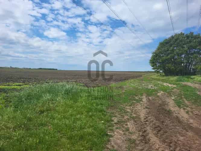 Pilisi eladó mezőgazdasagi ingatlan, M0002833