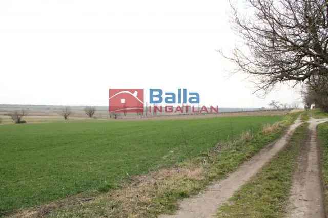 Pázmándi építési telek eladó 1127 m2 - Velencei-tó közelében