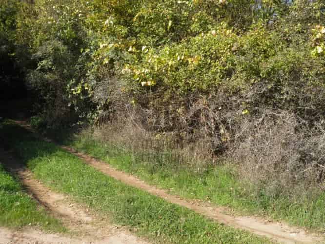 Zánkai eladó mezőgazdasagi ingatlan, M0002729