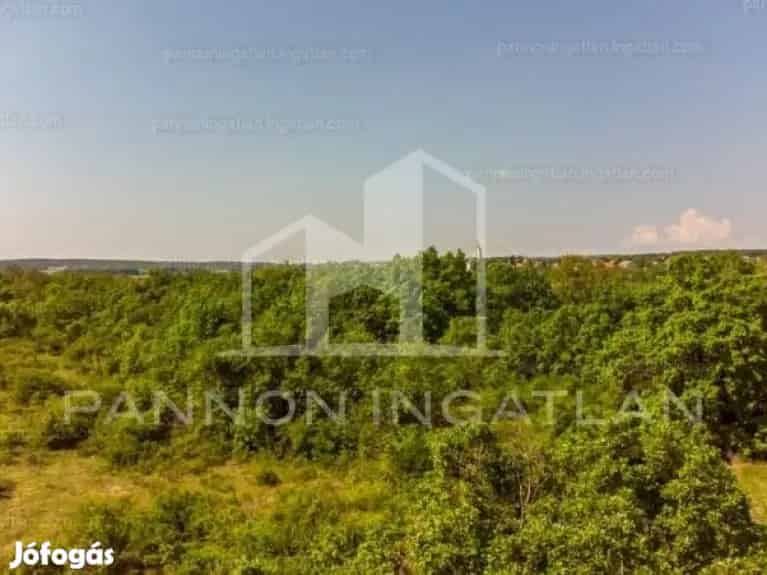 Eladó Ipari, Szentkirályszabadja 450.000.000 Ft - Szentkirályszabadja, Iroda, üzlethelyiség, ipari ingatlan - Jófogás Ingatlan