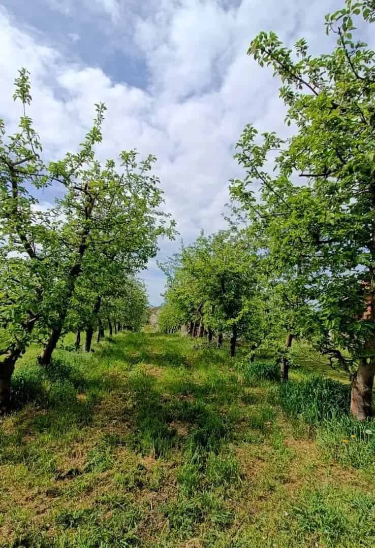 Telek Kiadó , Jánoshalmai járás, Alföld és Észak
