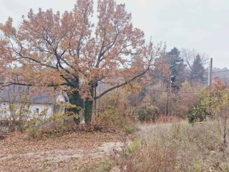 Telek Kiadó , Szentendre, Közép-Magyarország