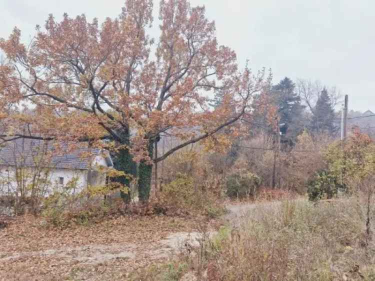 Telek Kiadó , Szentendre, Közép-Magyarország