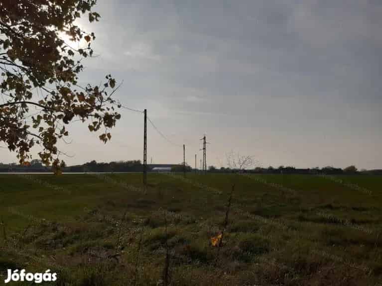 Jászberény határában eladó egy 4990 nm-es telken lévő tanya - Jászberény, Tanya - Jófogás Ingatlan