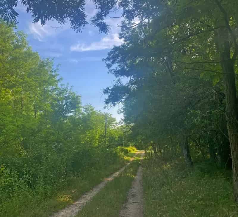 Telek Kiadó , Jánoshalmai járás, Alföld és Észak
