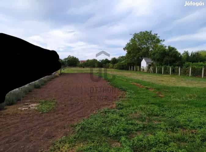 Debreceni eladó telek, T039271