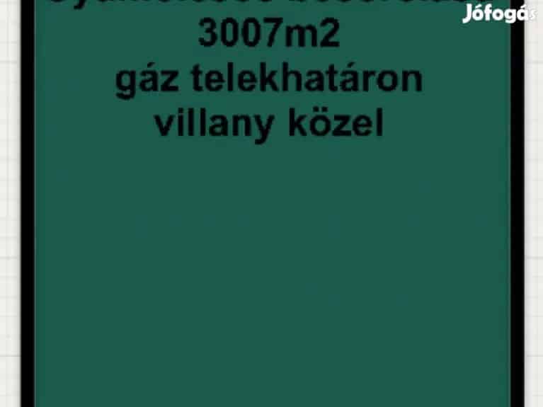 Csendes környezetben telek eladó! - Domaszék - Domaszék, Telek, föld - Jófogás Ingatlan