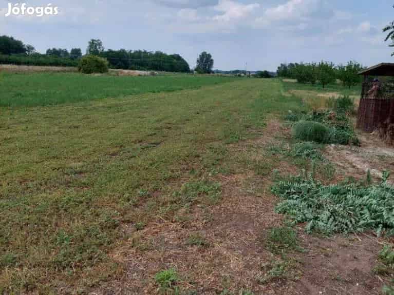 Tiszakécske, Fenyves utca, kivett beépítetlen terület - Tiszakécske, Telek, föld - Jófogás Ingatlan