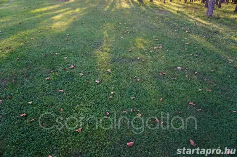 Telek Eladó , Dunántúl