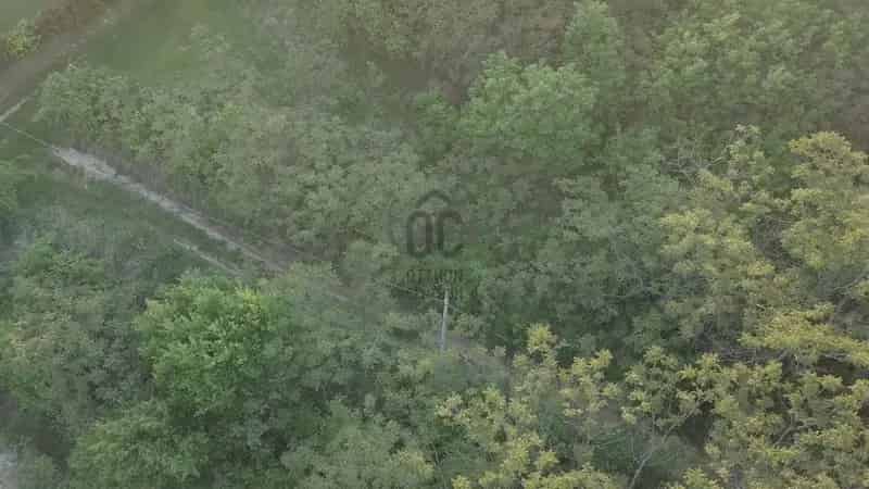 Telek Kiadó , Budakeszi járás, Közép-Magyarország
