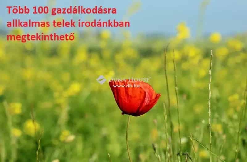 Telek Eladó , Nyíregyháza, Alföld és Észak