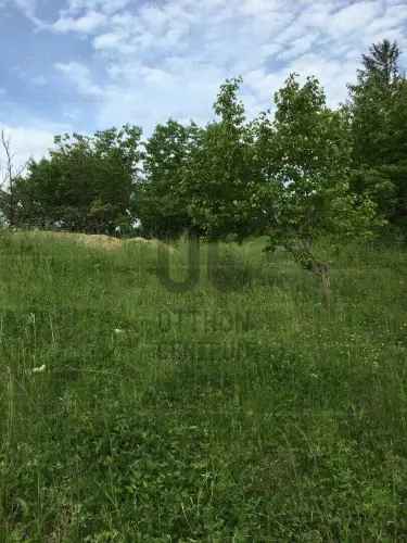 Balatonfüredi eladó telek, T039940
