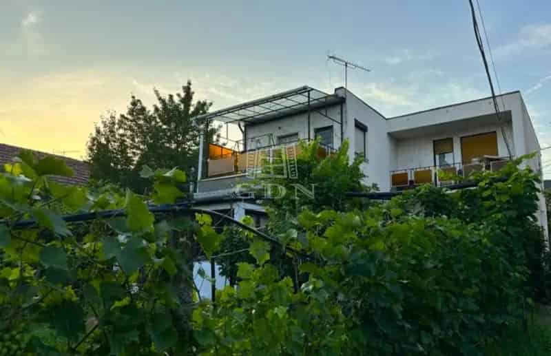 Telek Kiadó , Szabadság út, Budaörs, Közép-Magyarország