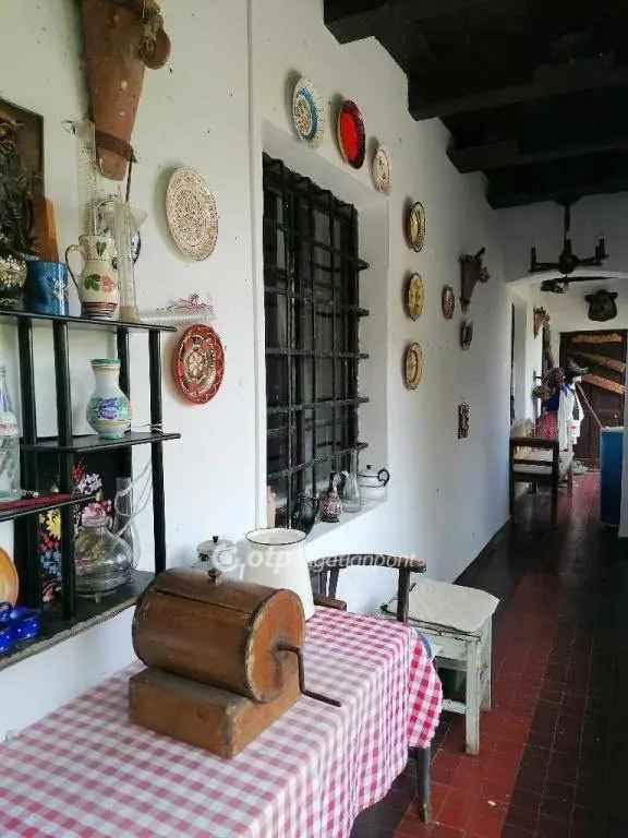 Üzleti célú Kiadó , Tiszafüredi járás, Alföld és Észak