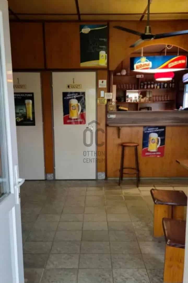 Üzleti célú Kiadó , Vásárosnaményi járás, Alföld és Észak
