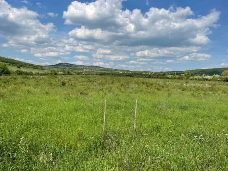 Dörgicse Panorámás Telek Eladó 38500m2 Beépíthető 600m2