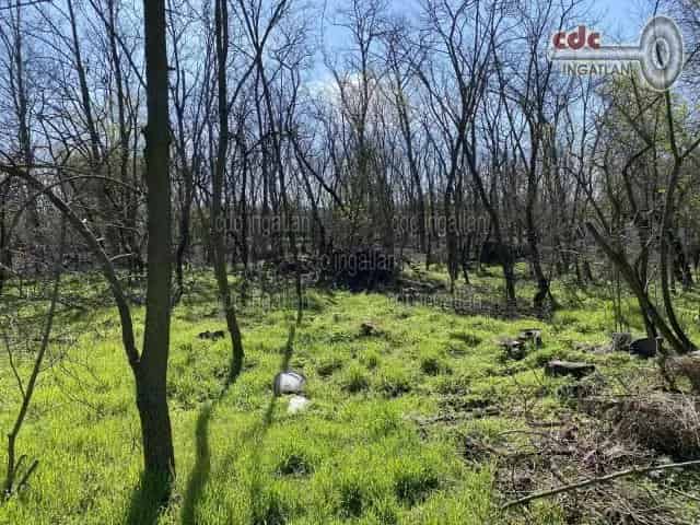 Telek Kiadó , Dabasi járás, Közép-Magyarország