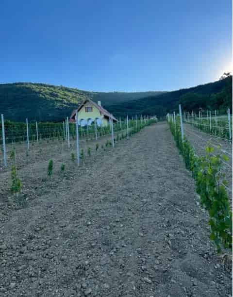 Telek Kiadó , Tapolcai járás, Dunántúl