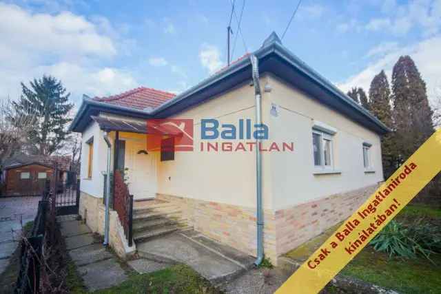 Nógrád Családi ház eladó - felújított, 4 szoba, panoráma