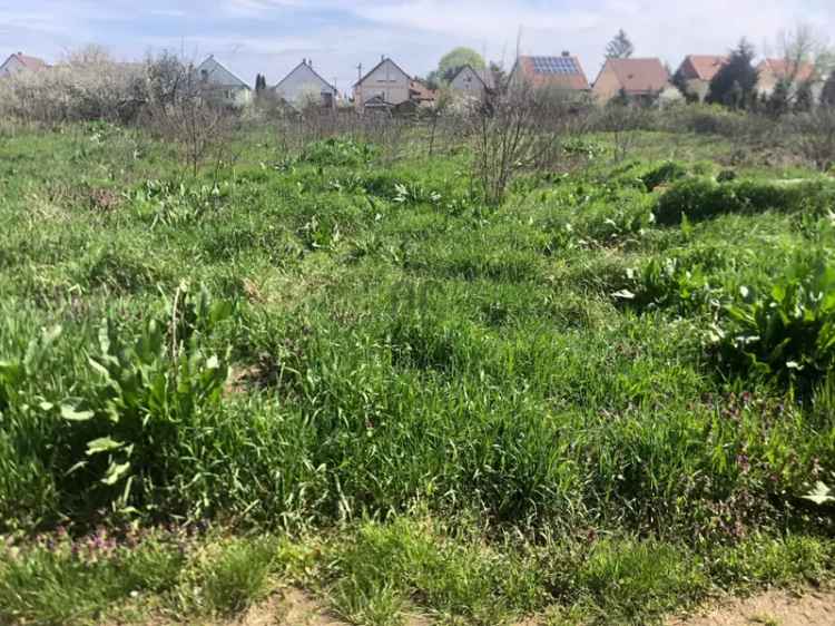 Telek Kiadó , 2, Rákóczi út, Vásárosnamény, Alföld és Észak